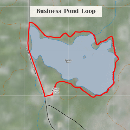 business-pond