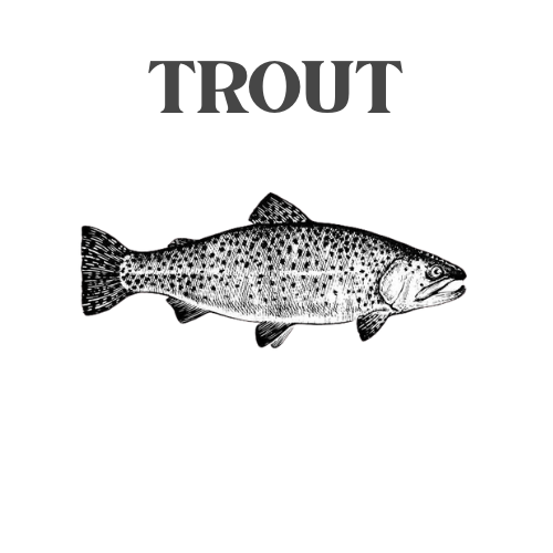 Trout